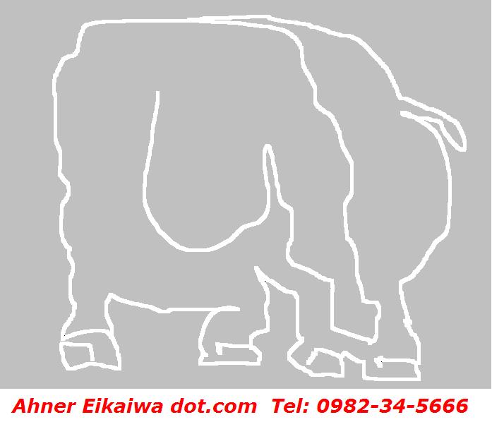 elephant-eikaiwa-nobeoka.jpg