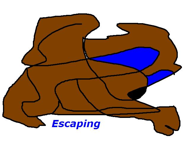 escaping.jpg